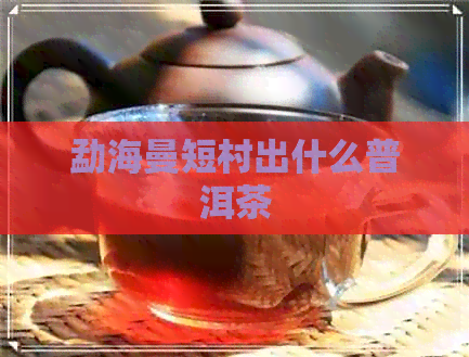 勐海曼短村出什么普洱茶