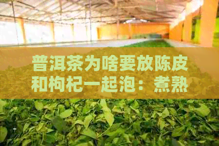 普洱茶为啥要放陈皮和枸杞一起泡：煮熟喝吗？还是泡水喝？功效何在？