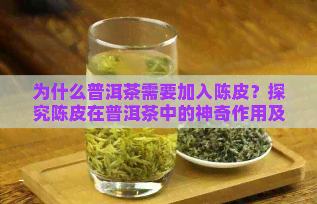 为什么普洱茶需要加入陈皮？探究陈皮在普洱茶中的神奇作用及其原因