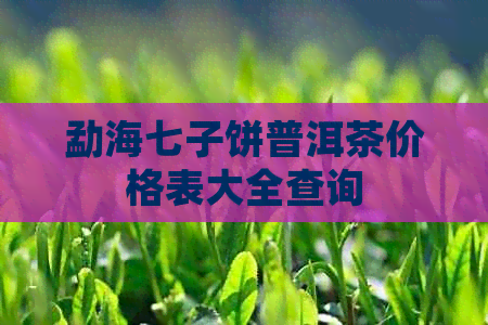 勐海七子饼普洱茶价格表大全查询