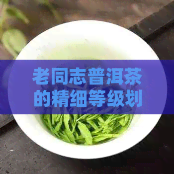 老同志普洱茶的精细等级划分：从原料到制作的深度解析