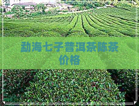 勐海七子普洱茶陈茶价格