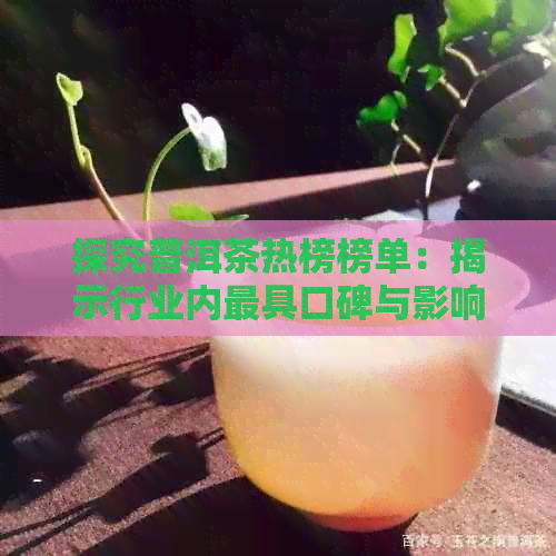 探究普洱茶热榜榜单：揭示行业内更具口碑与影响力的茶叶品种