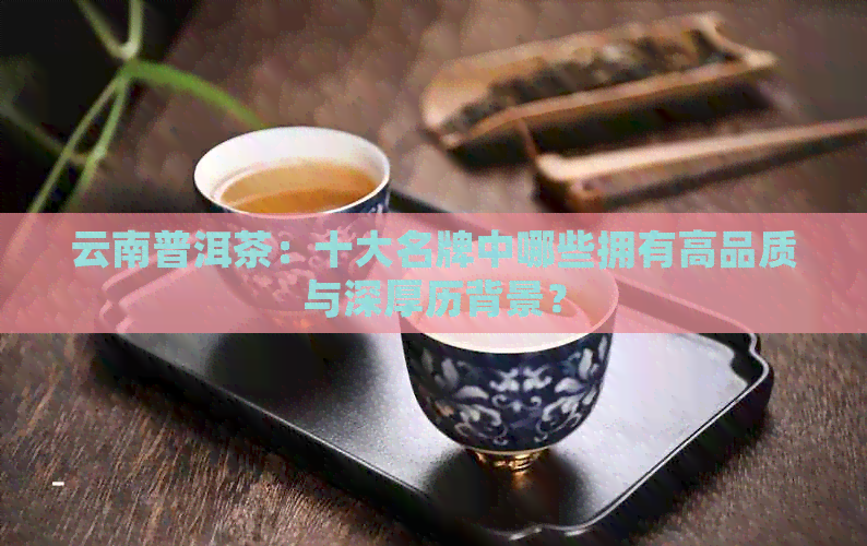 云南普洱茶：十大名牌中哪些拥有高品质与深厚历背景？