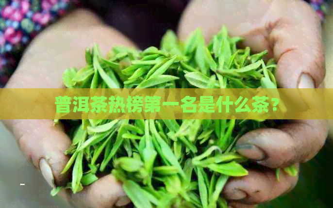 普洱茶热榜之一名是什么茶？