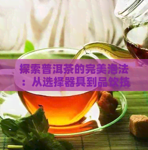 探索普洱茶的完美泡法：从选择器具到品饮技巧，全面解析冲泡方法