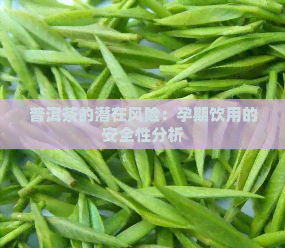 普洱茶的潜在风险：孕期饮用的安全性分析