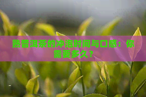 熟普洱茶的冲泡时间与口感：你需要多久？