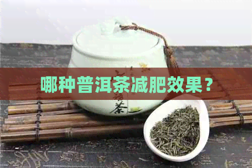 哪种普洱茶减肥效果？