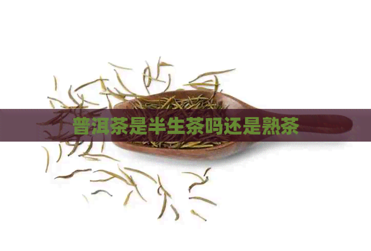 普洱茶是半生茶吗还是熟茶