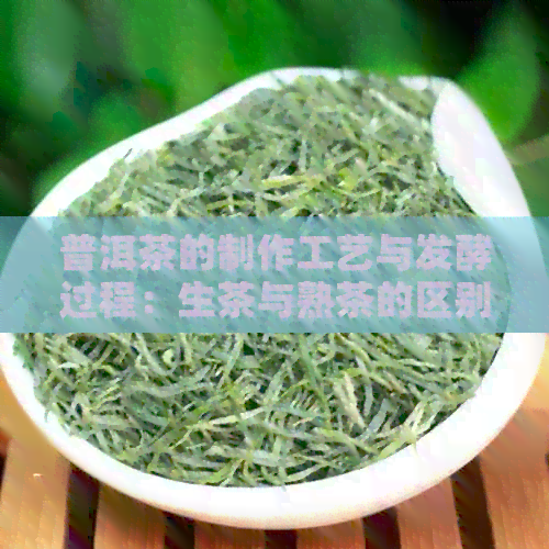 普洱茶的制作工艺与发酵过程：生茶与熟茶的区别在哪里？