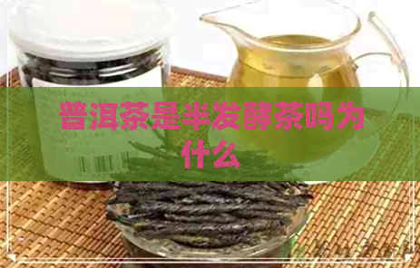 普洱茶是半发酵茶吗为什么