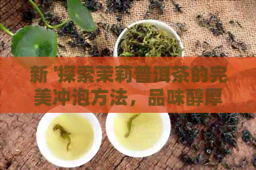 新 '探索茉莉普洱茶的完美冲泡方法，品味醇厚与甜的极致口感'