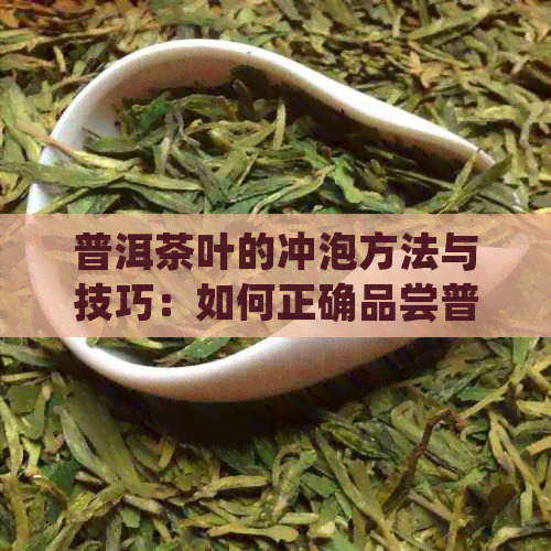 普洱茶叶的冲泡方法与技巧：如何正确品尝普洱茶的风味？