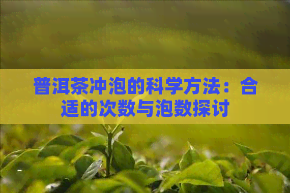 普洱茶冲泡的科学方法：合适的次数与泡数探讨