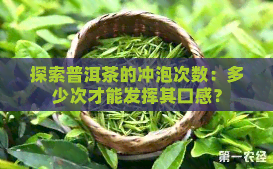 探索普洱茶的冲泡次数：多少次才能发挥其口感？