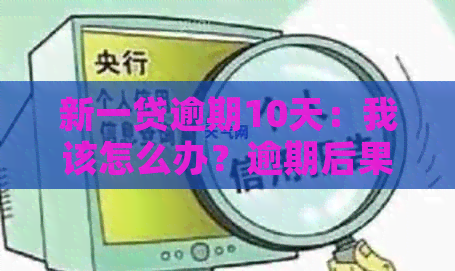 新一贷逾期10天：我该怎么办？逾期后果是什么？如何尽快解决？