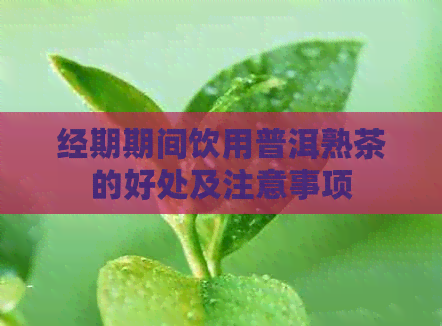 经期期间饮用普洱熟茶的好处及注意事项