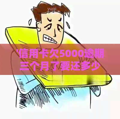 '信用卡欠5000逾期三个月了要还多少钱-逾期利息计算及后果分析'