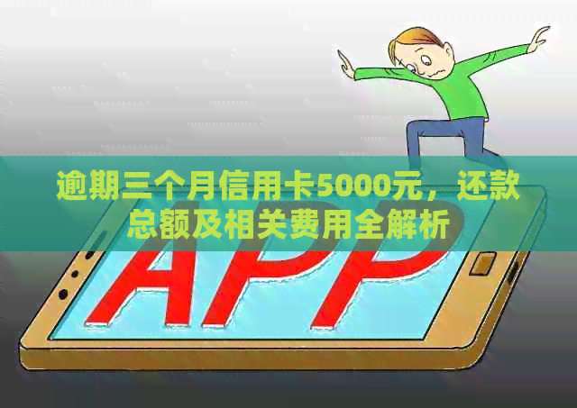 逾期三个月信用卡5000元，还款总额及相关费用全解析