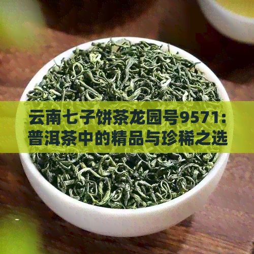 云南七子饼茶龙园号9571:普洱茶中的精品与珍稀之选