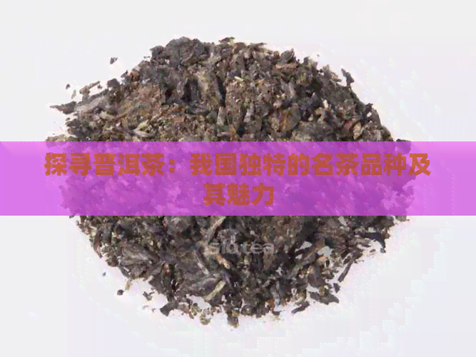 探寻普洱茶：我国独特的名茶品种及其魅力