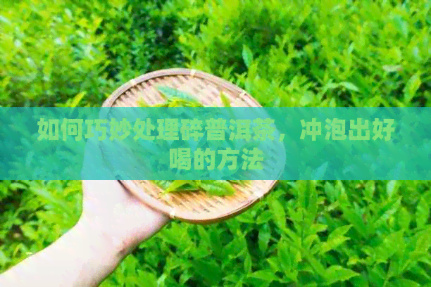 如何巧妙处理碎普洱茶，冲泡出好喝的方法