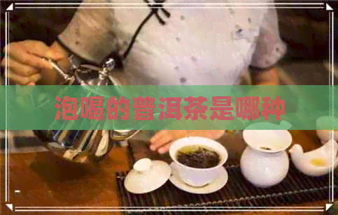 泡喝的普洱茶是哪种