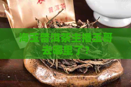 海玉普洱茶主播玉哥去哪里了？