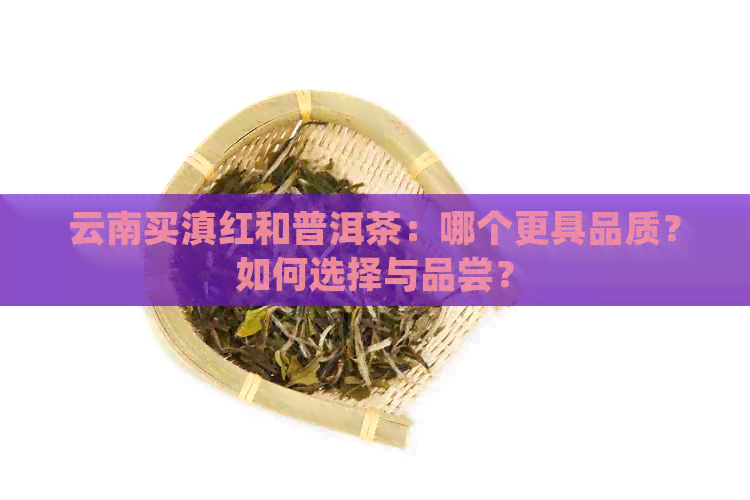 云南买滇红和普洱茶：哪个更具品质？如何选择与品尝？