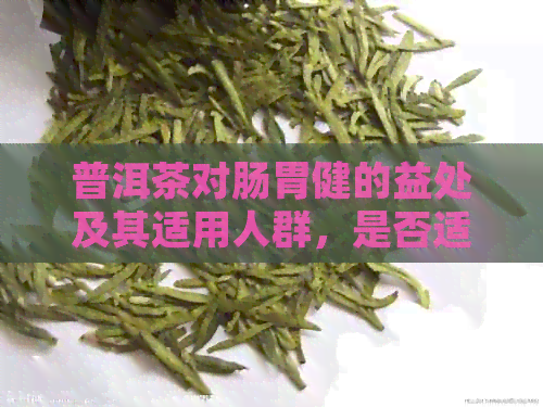 普洱茶对肠胃健的益处及其适用人群，是否适用于胃不好的人？