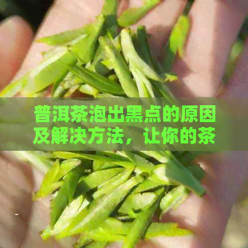 普洱茶泡出黑点的原因及解决方法，让你的茶水更清澈