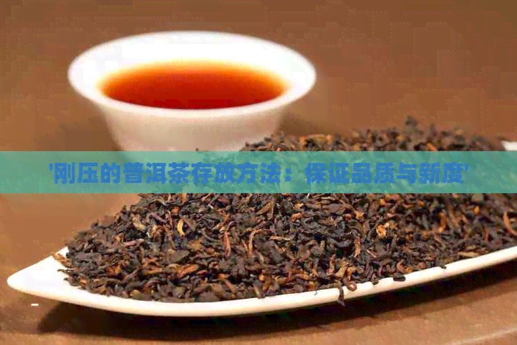 '刚压的普洱茶存放方法：保证品质与新度'