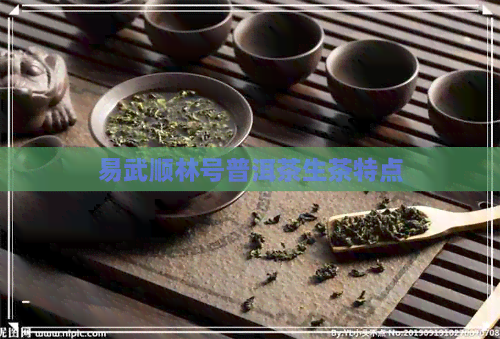 易武顺林号普洱茶生茶特点