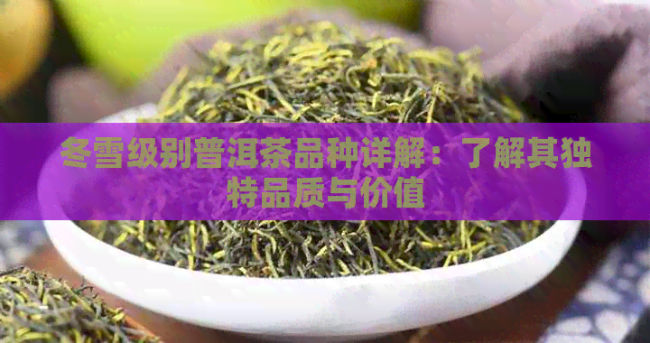 冬雪级别普洱茶品种详解：了解其独特品质与价值