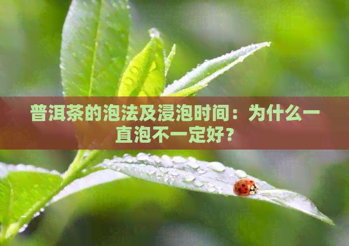 普洱茶的泡法及浸泡时间：为什么一直泡不一定好？