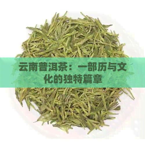 云南普洱茶：一部历与文化的独特篇章