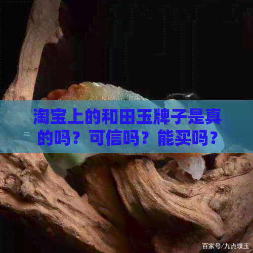 淘宝上的和田玉牌子是真的吗？可信吗？能买吗？