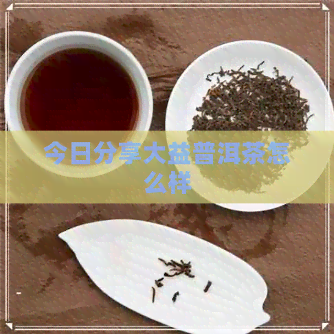 今日分享大益普洱茶怎么样