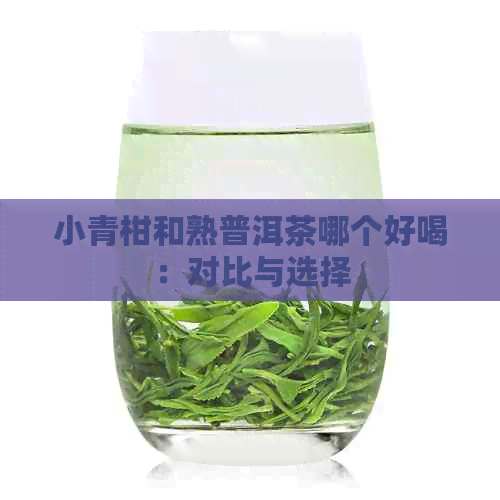 小青柑和熟普洱茶哪个好喝：对比与选择