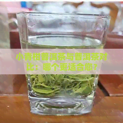 小青柑普洱茶与普洱茶对比：哪个更适合您？