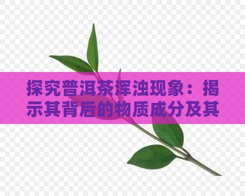 探究普洱茶浑浊现象：揭示其背后的物质成分及其影响茶品质的因素