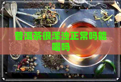 普洱茶很浑浊正常吗能喝吗