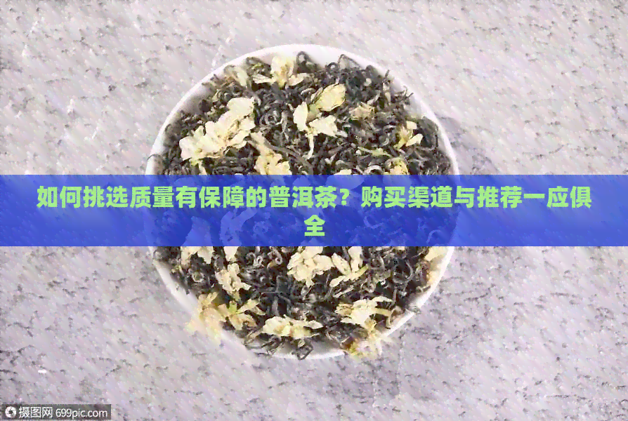 如何挑选质量有保障的普洱茶？购买渠道与推荐一应俱全