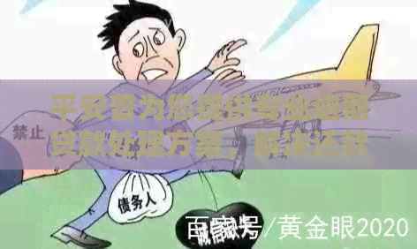 平安普为您提供专业逾期贷款处理方案，解决还款难题