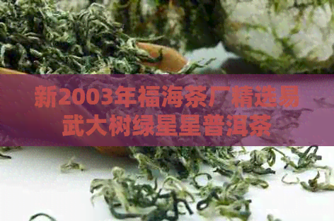 新2003年福海茶厂精选易武大树绿星星普洱茶