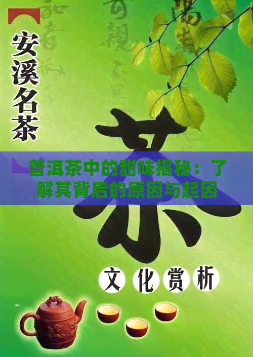 普洱茶中的甜味揭秘：了解其背后的原因与起因