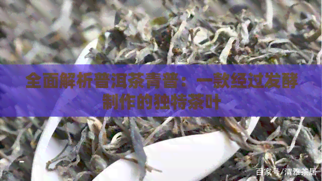 全面解析普洱茶青普：一款经过发酵制作的独特茶叶