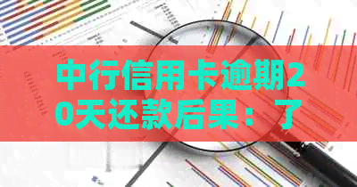 中行信用卡逾期20天还款后果：了解信用状况和可能影响