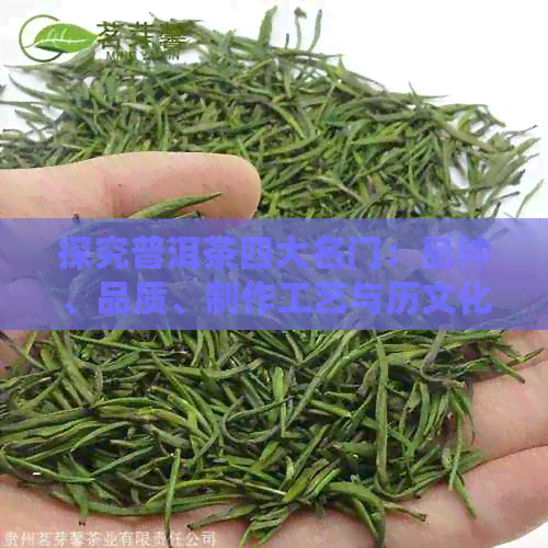 探究普洱茶四大名门：品种、品质、制作工艺与历文化，一文解答所有疑问